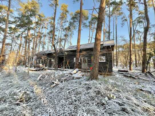 TinyHouse im Wald im Wendland - Neues Zuhause / perfektes Ferienhaus - Tinyhaus v. 2022 - Glasfaser!