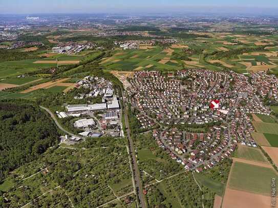 Gut angebunden in grüner Umgebung: Barrierefreie 4-Zi.-Wohnung mit 2 Bädern und Südwest-Balkon