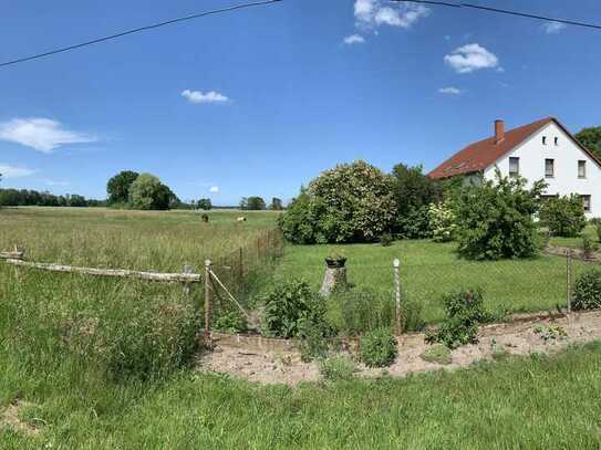 Ihre Pferde direkt am Haus - viel Land - in 30 Autominuten am Ostseestrand