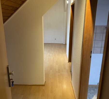 1-Zimmer-DG-Appartment in Neckarau