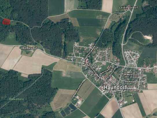 Waldgrundstück Gemarkung Haundorf