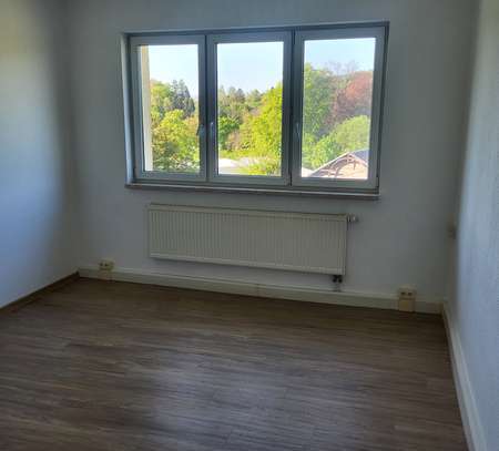 Renovierte helle 1-Raum-Wohnung mit Blick ins Grüne