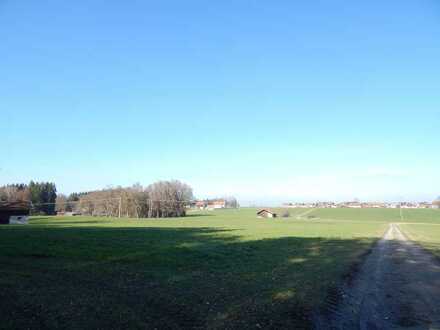 Landwirtschaftliche Fläche in 83410 Teisendorf - Ortsteil Weildorf - 69.609 m²