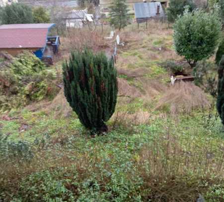 Grundstück mit Brandruine