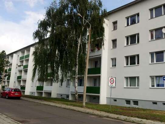 4-Raum-Wohnung in ruhiger Gegend