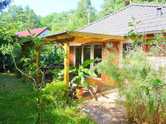 Bungalow von 2006 plus Altbungalow auf 1.590 m² in absolut ruhiger Lage am Wald gelegen in Schildow