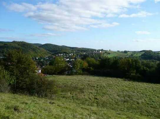 Wohnen im märchenhaften Harz