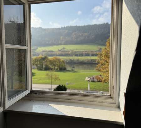 Schöne Wohnung in Zeltingen mit Moselblick