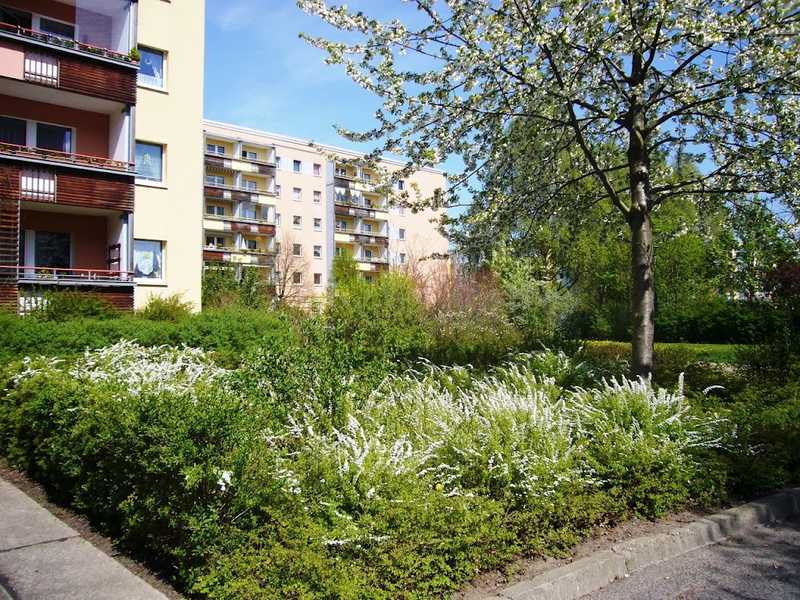 Schöne 3-Zimmer-Wohnung - NUR mit WBS (bis zu WBS 220)