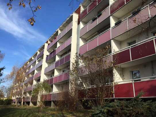 3-Zimmer-Wohnung im Erdgeschoss mit West-Balkon!