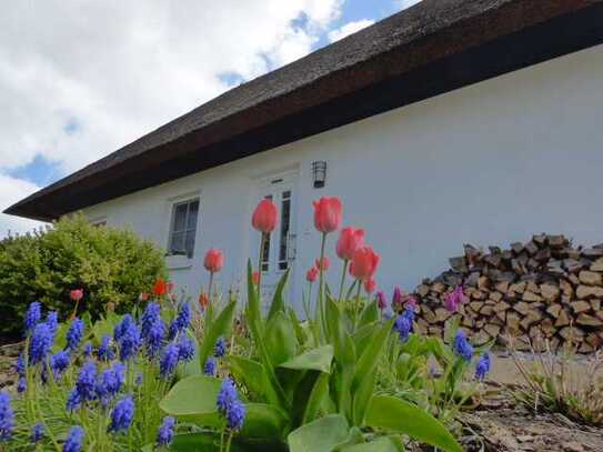 22,4 kWH A+ERDWÄRMEHAUS! 1. WOHNSITZ! SAUNA! KAMIN! GLASFASER! FELDRANDLAGE!