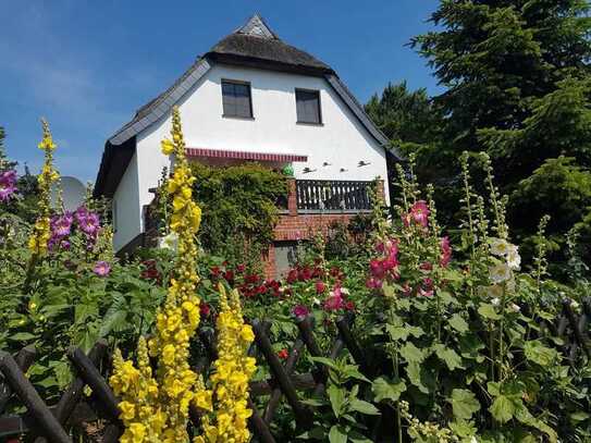 Inselfeeling pur – idyllisches Reetdachhaus mit zwei zusätzlichen Ferienwohnungen und Nebengelass z