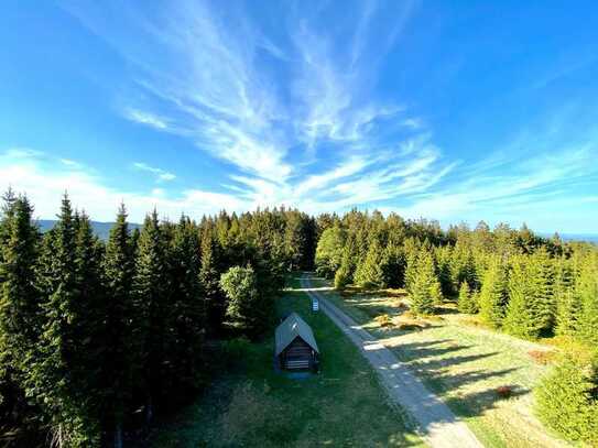 Panoramablick mitten in der Natur