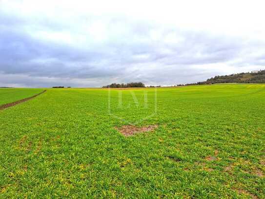 70 ha arrondierte landwirtschaftliche Flächen in Mittelhessen