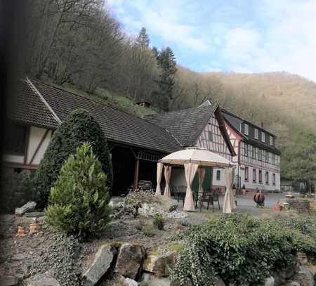 3 ZKB Terrasse in idyllischer Mühle