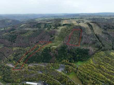 Fichtenmischwald mit etwas Grünlandanteil (ca. 6,5 ha) südlich von Saalfeld/Saale