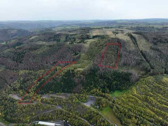 Fichtenmischwald mit etwas Grünlandanteil (ca. 6,5 ha) südlich von Saalfeld/Saale