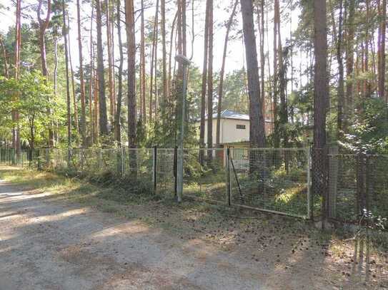 schönes Baugrundstück in Michendorf Wildenbruch