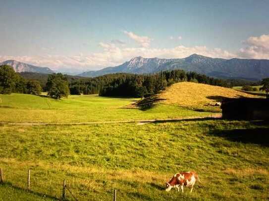 Schönes EFH mit tollem Bergblick