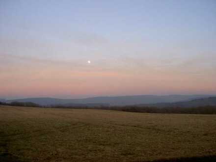 Zwei Bauplätze zu verkaufen (jew. 662 m²) - Toplage & Panoramablick