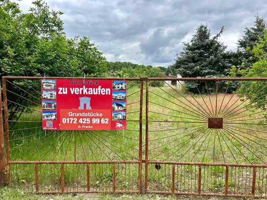 Kleines Baufeld nah am Quenzsee inkl. Privatstraßenanteil