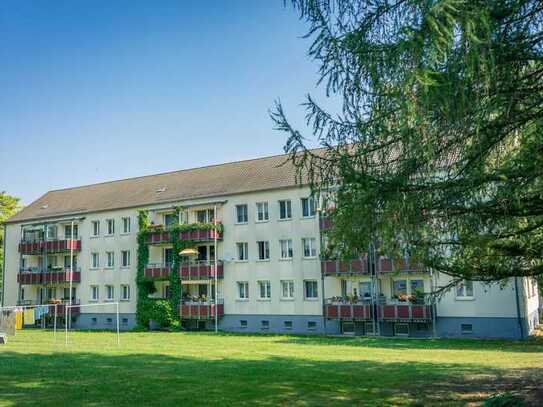 Im Grünen gelegene 3-Raum-Wohnung mit Balkon