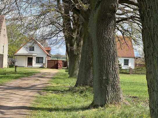 Ruhige 2-Zimmer-Wohnung in Rheinsberg auf dem Bauernhof