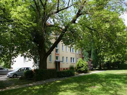 Kleine 3-Raum-Wohnung mit Balkon und Möglichkeit zur Gartennutzung in ländliche Lage zu vermieten!