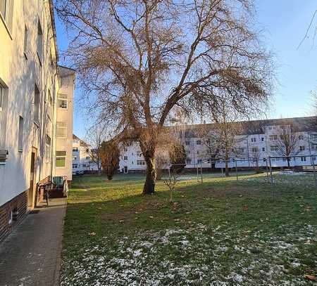 Eine helle, gemütliche Dachgeschosswohnung wartet auf neuen Mieter*in