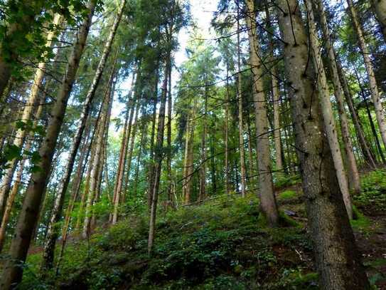 Wald bzw. Freizeitgrundstück mit Fischteich u. Baumhaus in sehr ruhig u. idyllisch Nähe Schöllnach