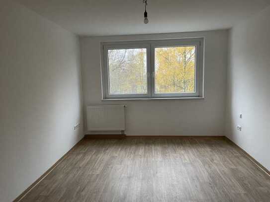 3-Zimmwohnung mit Balkon (Südseite) mit Weitblick sucht netten Nachmieter!