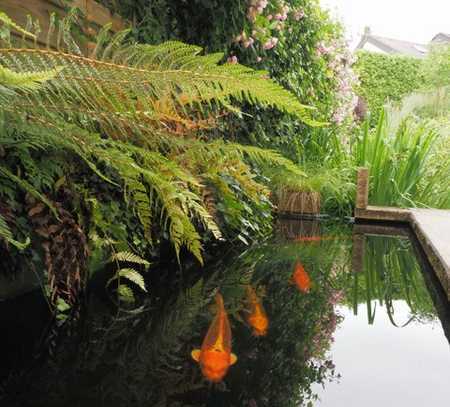 Hochwertig ausgestattetes Architektenhaus mit großem Garten und Koi-Teich