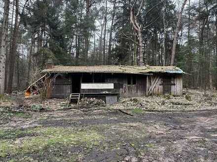 Abrisshaus mit Fischteich, Waldgrundstück ca. 10034 m²