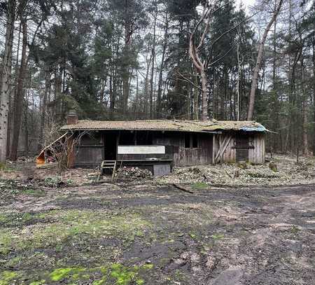 Abrisshaus mit Fischteich, Waldgrundstück ca. 10034 m²