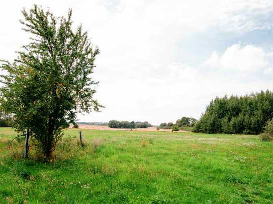 Attraktives Landhaus (Reetdach) in Alleinlage und Ostseenähe mit arondierten Weideflächen