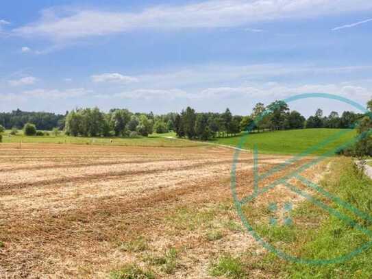 Landwirte aufgepasst, 5.000 m² Acker in Starnberg