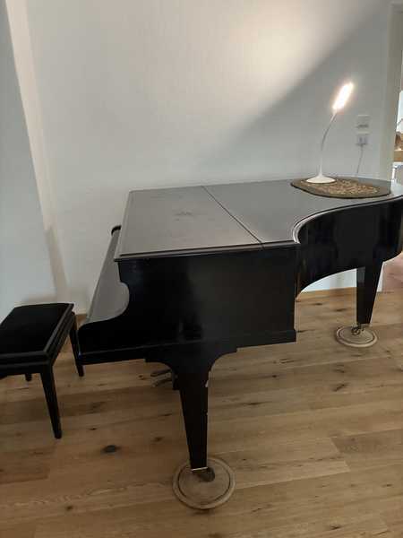 House furnished sunny Garden Piano south side 3 Room in Berlin-Tempelhof