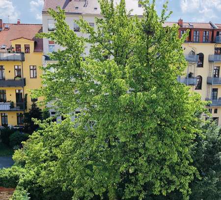 Zentrale 3-Raumwohnung mit Dachterrasse, großer Küche, Bad mit Wanne & Dusche ab Februar 2025 frei!