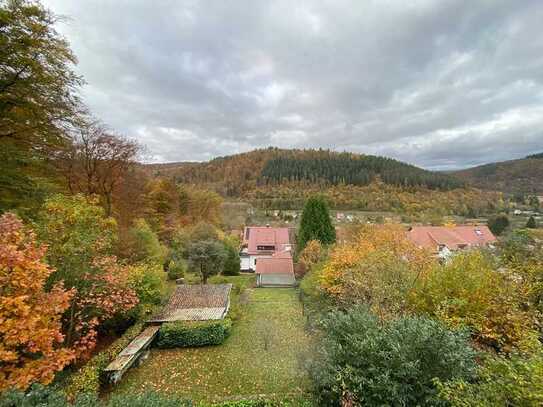 Natur Pur! Renovierte 2-Zimmer-Wohnungen mit Terrasse und Garten in Neckargemünd