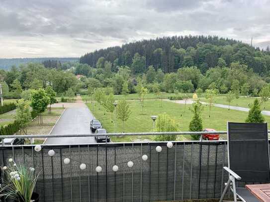 Schöne helle und geräumige 2 Zi.-Wohnung mit Blick auf die Donau