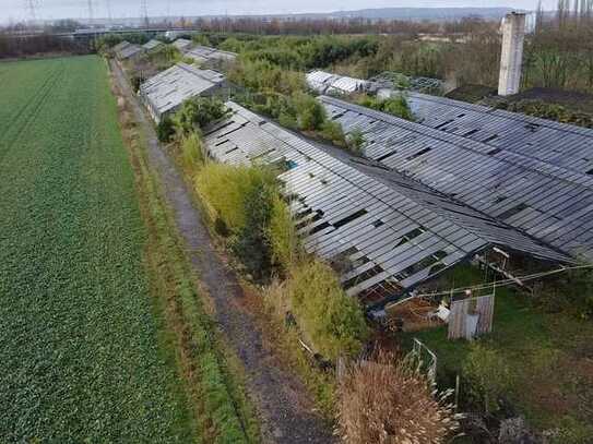 Vor den Toren Kölns!, Landwirtschaftliches Grundstück zur gewerblichen Nutzung Einmaliges Angebot