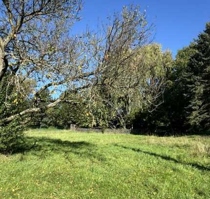 ***Natur Pur vor den Toren der Landeshauptstadt Dresden***