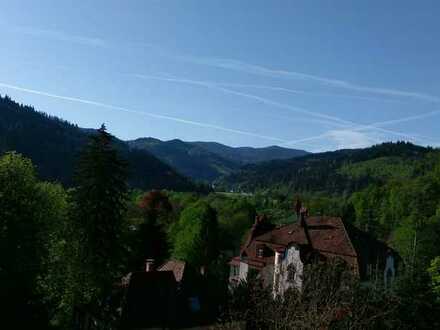 Wunderschöne 4-Zimmerwohnung in renovierter Altbauvilla mit herrlichem Ausblick