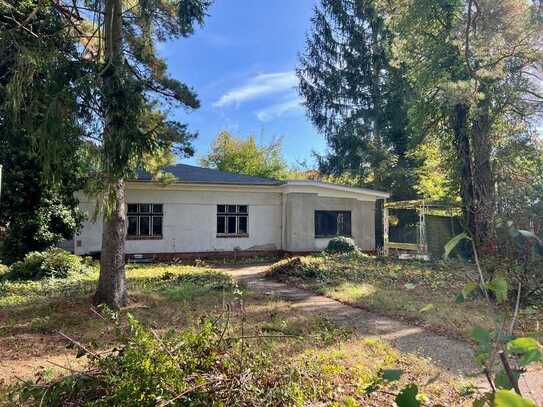 Freistehendes Bungalow-Haus mit Ausbaureserven und großem Grundstück in ruhiger Lage