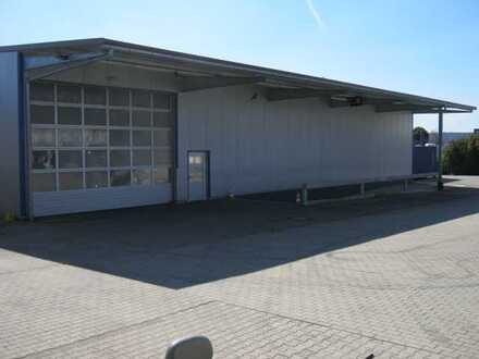 Gewerbehalle/Industriehalle mit Freichfläche zu vermieten
