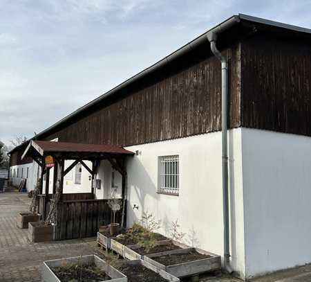 Große Mehrzweckhalle in Buchholz / Pankow