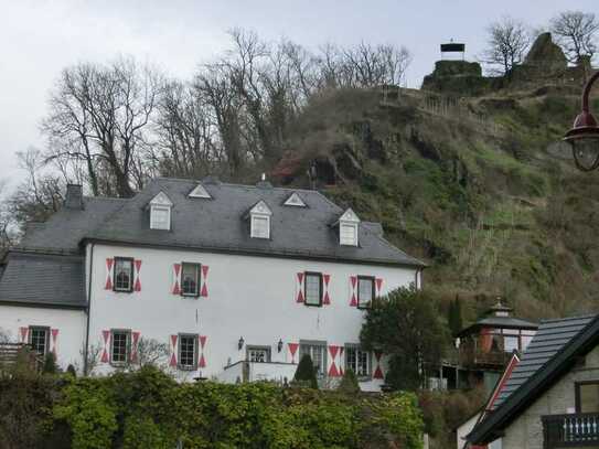 Sanierte 3-Zimmer-Erdgeschosswohnung mit Balkon und EBK in Altenahr