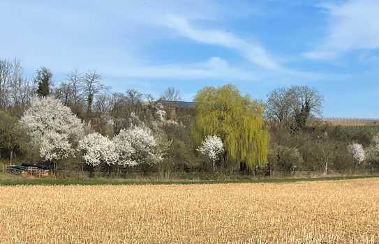 Naturnahes Freizeitgrundstück im Landschaftsschutzgebiet