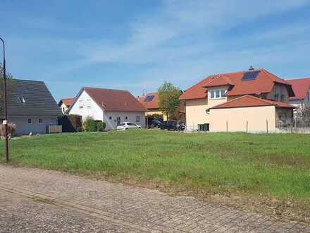 Bauplatz in der Südpfalz