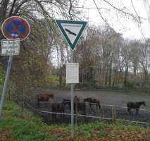 schöne 2 Raum-Wohnung in ruhiger Lage zu vermieten